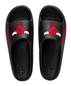 Zapatilla NBA Chicago Bulls NBASL5242 BK1